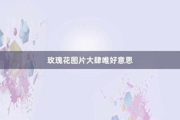 玫瑰花图片大肆唯好意思