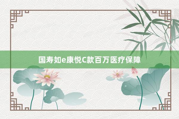 国寿如e康悦C款百万医疗保障